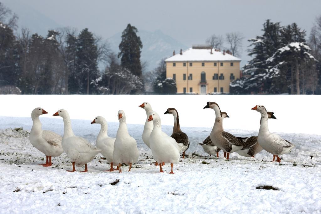 Agriturismo Il Torrione Hotel Pinerolo Buitenkant foto