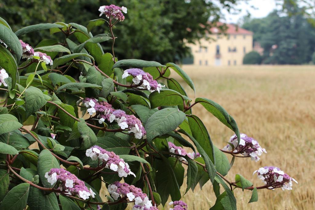 Agriturismo Il Torrione Hotel Pinerolo Buitenkant foto